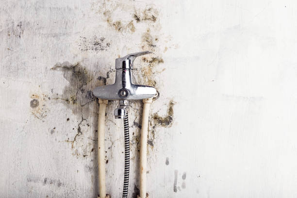 Reliable Colbert, OK Mold Removal Solutions