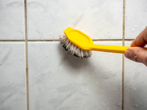 Best Office Mold Removal Services  in Colbert, OK