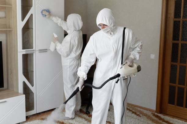 Best Mold Removal and Inspection  in Colbert, OK