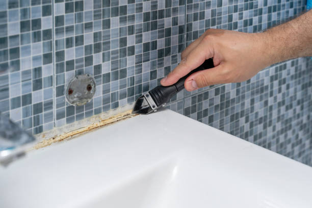 Best Mold Cleaning Services  in Colbert, OK