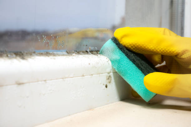 Mold Testing and Removal in Colbert, OK