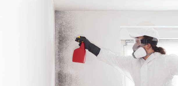 Best Crawl Space Mold Removal  in Colbert, OK