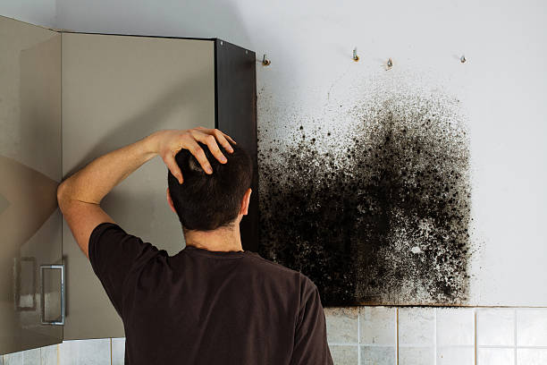 Best Mold Removal Near Me  in Colbert, OK