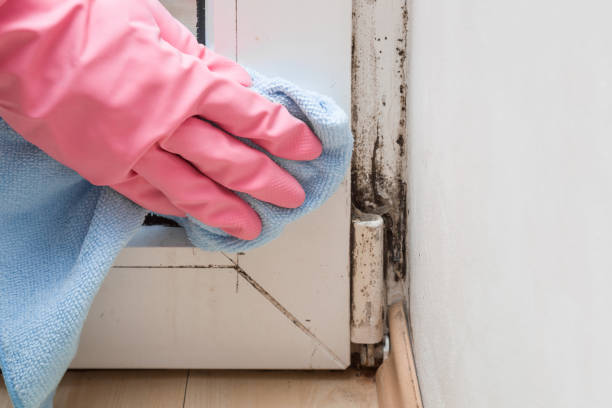 Crawl Space Mold Removal in Colbert, OK
